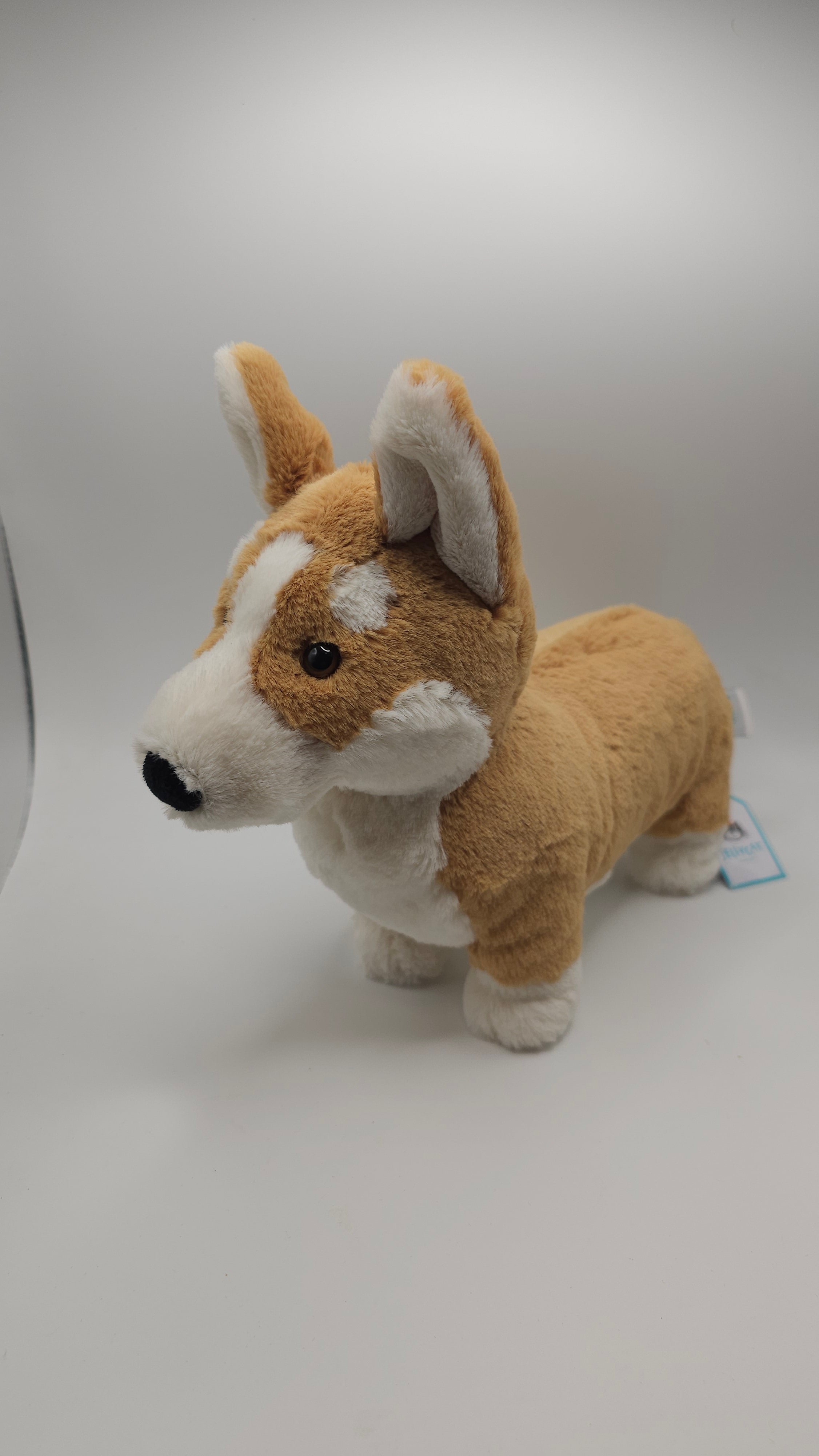 Betty Corgi Jellycat 12 inch